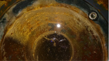 浴場の循環配管のバイオフィルム
